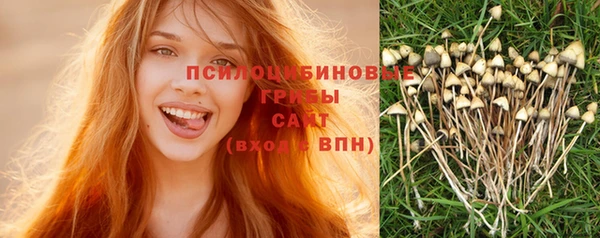 мдпв Беломорск