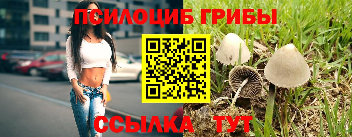 Галлюциногенные грибы прущие грибы Славгород